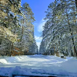 Traverse City State Park - Traverse City