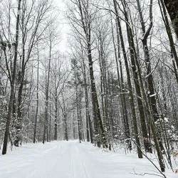 Traverse City State Park - Traverse City
