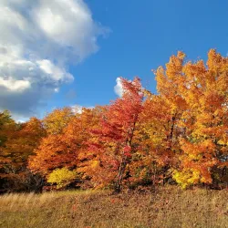 Traverse City State Park - Traverse City
