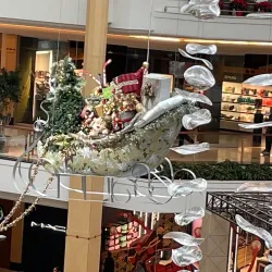 Somerset Mall Ice Rink - Troy