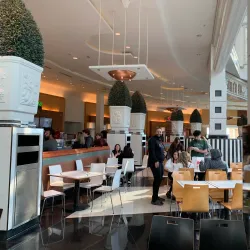 Somerset Mall Ice Rink - Troy