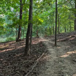 Stage Nature Center - Troy