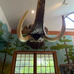 Stage Nature Center - Troy