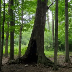 Troy Nature Society - Troy