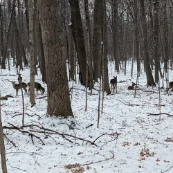 Troy Nature Society - Troy