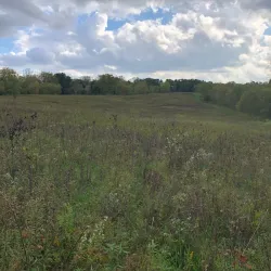 Bear Creek Nature Park - Warren