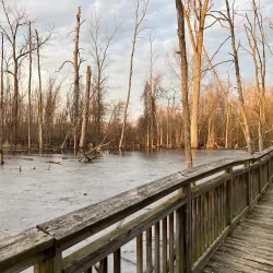 Bear Creek Nature Park - Warren