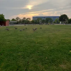 Civic Center Library - Warren