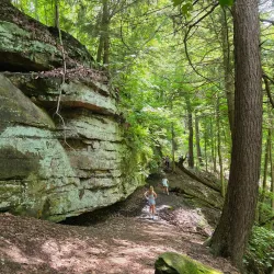 Fitzgerald Park - Warren