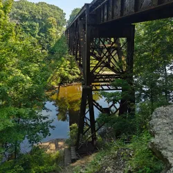 Fitzgerald Park - Warren