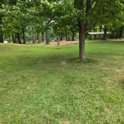 Fitzgerald Park - Warren