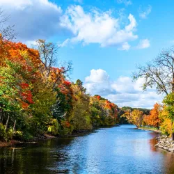 Fitzgerald Park - Warren