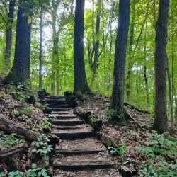 Fitzgerald Park - Warren