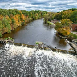 Fitzgerald Park - Warren