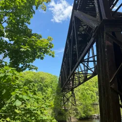 Fitzgerald Park - Warren