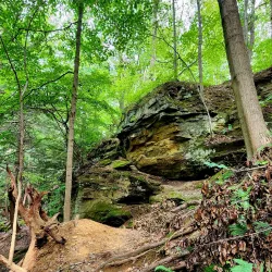 Fitzgerald Park - Warren