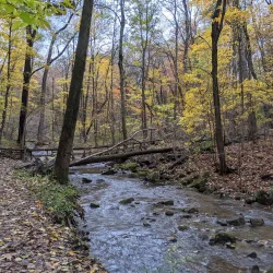 Fitzgerald Park - Warren