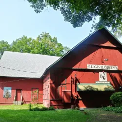 Fitzgerald Park - Warren