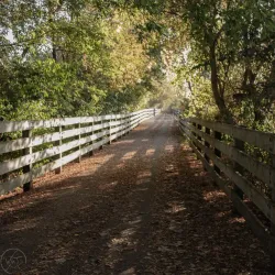 Macomb Orchard Trail - Warren
