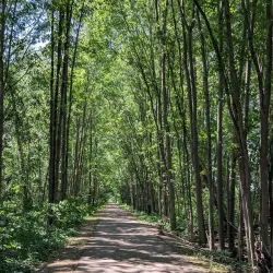 Macomb Orchard Trail - Warren