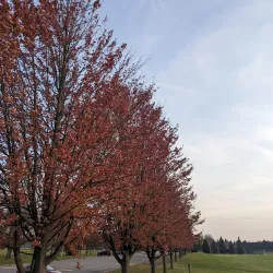 Warren City Park - Warren