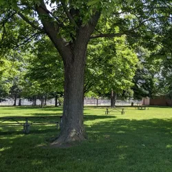 Warren City Park - Warren