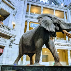 The National Mall - Washington