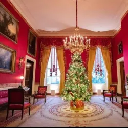 The White House - Washington