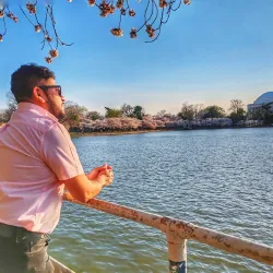 Tidal Basin and Cherry Blossom Trees - Washington