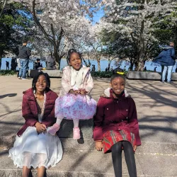 Tidal Basin and Cherry Blossom Trees - Washington