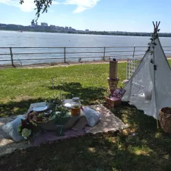 Tidal Basin and Cherry Blossom Trees - Washington