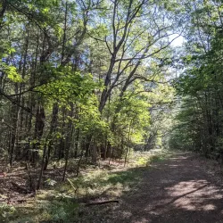 Duck Lake - White Lake Township