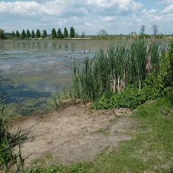 White Lake Marina - White Lake Township