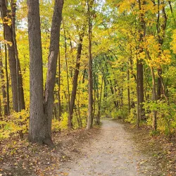 White Lake Nature Preserve - White Lake Township