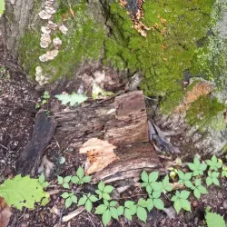 White Lake Nature Preserve - White Lake Township