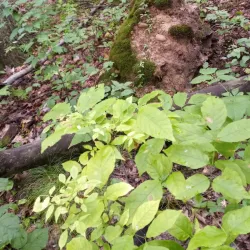 White Lake Nature Preserve - White Lake Township