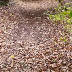 White Lake Township Park - White Lake Township