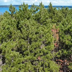 White Lake Township Park - White Lake Township