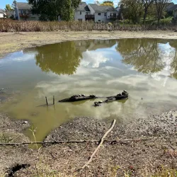 Huron Valley Rail Trail - Wixom