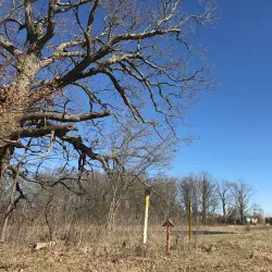 Huron Valley Rail Trail - Wixom