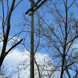 Huron Valley Rail Trail - Wixom