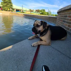 Wixom Community Center - Wixom