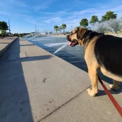 Wixom Community Center - Wixom