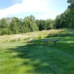 Wixom Dog Park - Wixom