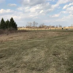 Wixom Dog Park - Wixom