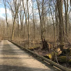 Wixom Dog Park - Wixom