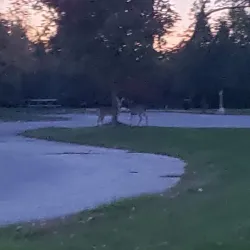 Wixom Nature Preserve - Wixom