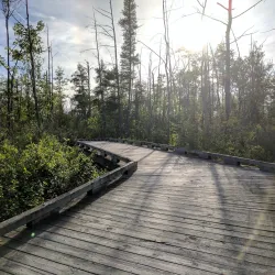 Wixom Nature Preserve - Wixom