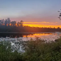 Wixom Nature Preserve - Wixom