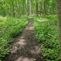 Wixom Nature Preserve - Wixom